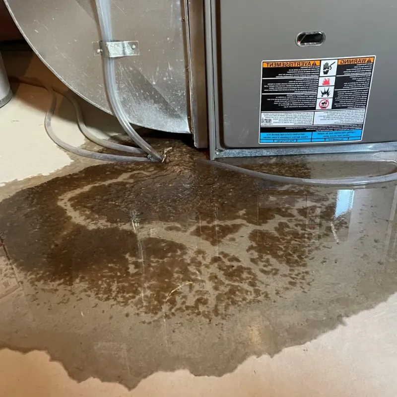 Pipe Burst and Leak Restoration in Calumet Park, IL